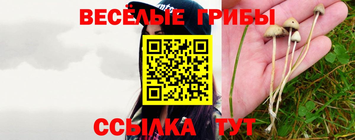 Псилоцибиновые грибы прущие грибы  Псилоцибиновые грибы GOLDEN TEACHER  Богородск  Вход с VPN 